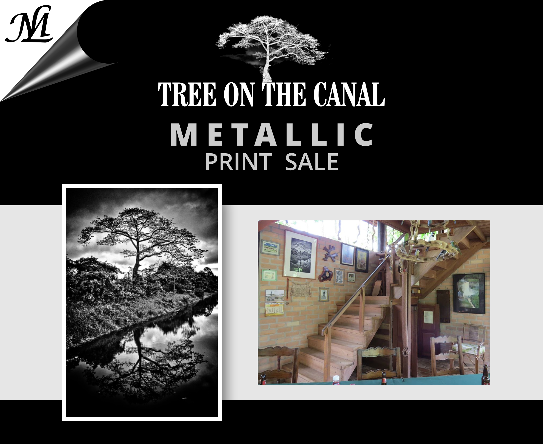 tree on the canal.cdr