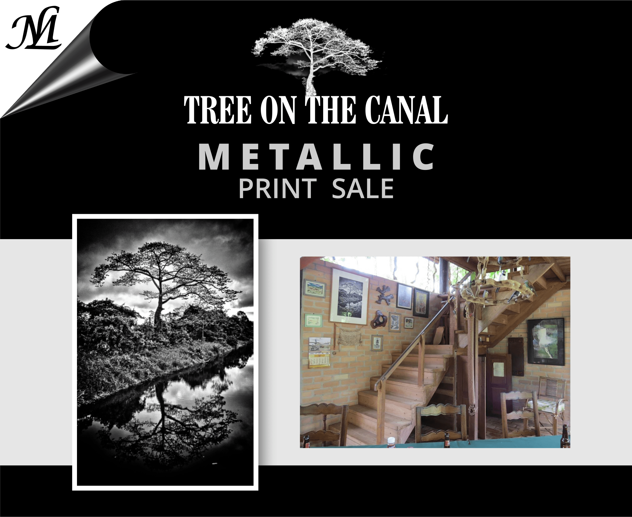 tree on the canal.cdr